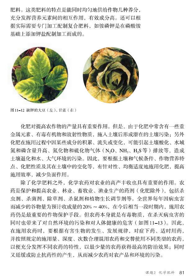 �n�} 11.2 ���W(xu��)����_